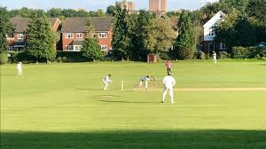 Image result for Podington Cricket Club