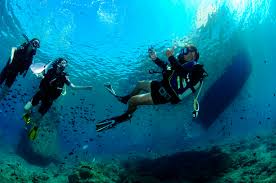 Image result for World Divers