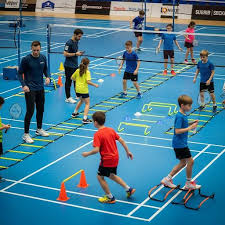 Image result for Silverleigh Junior Badminton Club