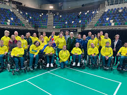 Image result for Well Being and Leisure Team (Boccia)