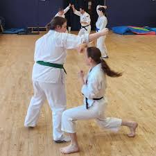 Image result for Abbey Shorinji Kempo Dojo