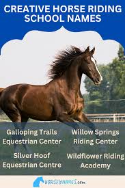 Image result for South Weylands Equestrian
