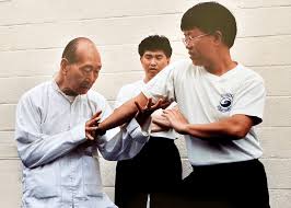 Image result for Tao So Choy Kung Fu Club, Hull