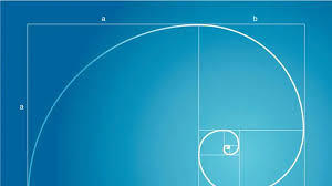 Image result for numero aureo