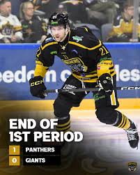 Image result for Nottingham Panthers