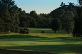 Image result for Swaffham Cricket Club