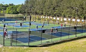 Image result for Lockerbie Pickleball Club