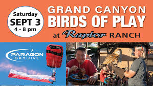 Image result for Paragon Skydiving