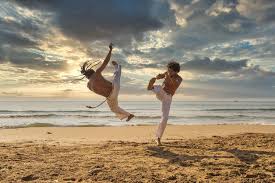 Image result for IXL Martial Arts