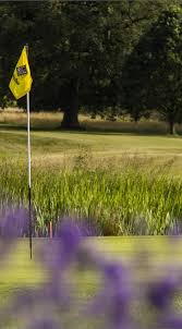 Image result for Clandon Regis Golf Club Ltd
