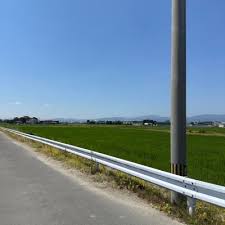 「柿本人志」の画像検索結果