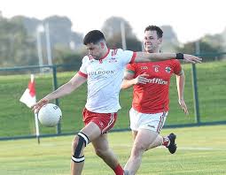 Image result for John Mitchel`s Gaelic Athletic & Social Club