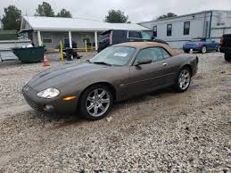 Image result for Roman Bronze 2001 Jaguar