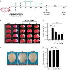 Image result for The 3E`s Ttc