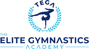 Image result for Epping Forest Elite Gymnastics Club