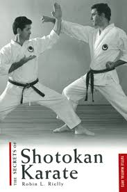 Image result for Shotokan Karate
