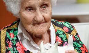 Image result for eva zeisel