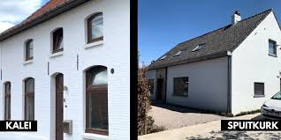 Image result for kaleien