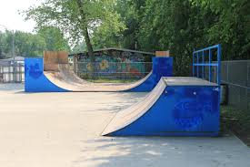 Image result for Skate Extreme