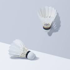 Image result for Feathers (New Milton) Badminton Club
