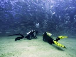 Image result for Tornado Divers