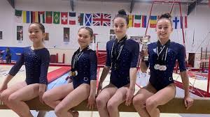 Image result for Huntingdon Gymnastics Club