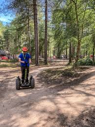 Image result for Go Ape! Moors Valley