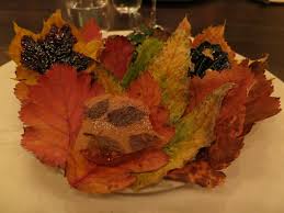 Image result for noma mad