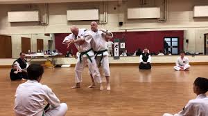 Image result for Bournemouth Shorinji Kempo Club