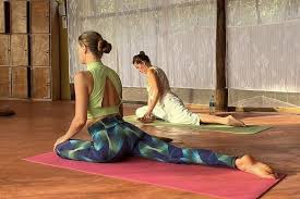 Image result for Affiliated Sivananva Yoga Teacher