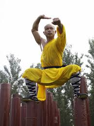 Image result for Hull Kung Fu