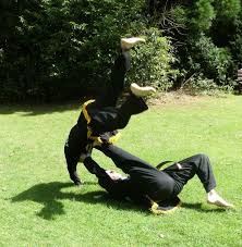 Image result for Kuk Sool Won Of Botesdale