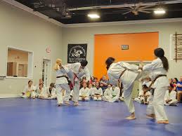 Image result for Chang's Hapkido Club