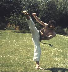 Image result for Nottingham Sankukai Karate