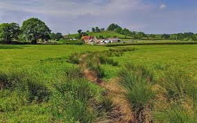 Image result for U3A Shaftesbury SG