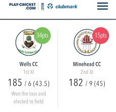 Image result for Minehead Cricket Club