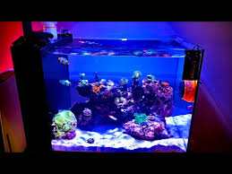 Image result for Peninsula Sub Aqua