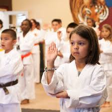Image result for Martial Arts Karate Mesa AZ