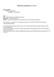 Attēlu rezultāti vaicājumam “Badhamia capsulifera spores”