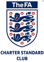 Image result for Old Wokingians Football Club