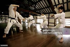 Image result for Abbey Shorinji Kempo Dojo