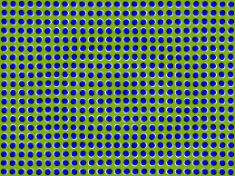 Image result for Lilac Chaser