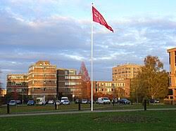 Image result for University Of Reading Ac