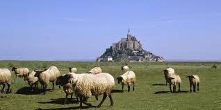 Image result for mont st michel