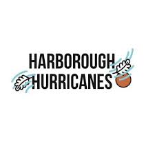Image result for Harborough Junior Dodgeball Club