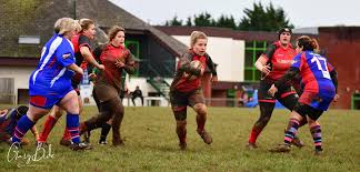 Image result for Totnes Rugby Club