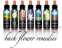 Florais de Bach e Florais de Minas