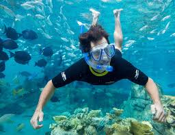 Image result for Belfairs Dolphins Snorkelling Club