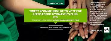 Image result for Esprit Gymnastics Club