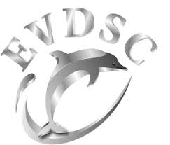 Image result for Loftus Dolphins Swimming Club